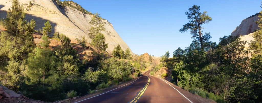 An empty road snaked far along