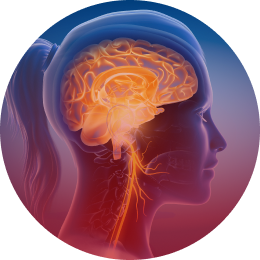 What is Brain Injury?
