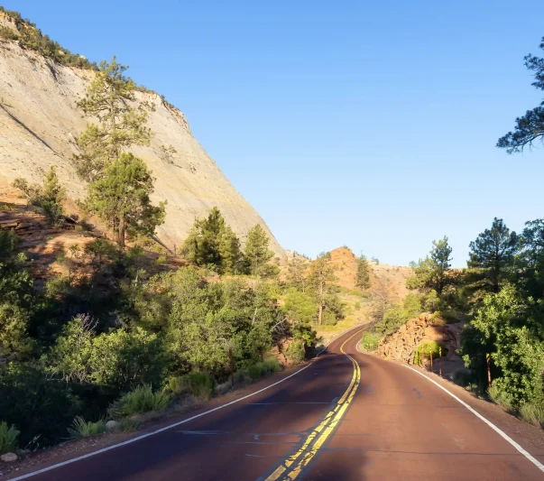 An empty road snaked far along